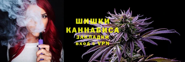 PSILOCYBIN Алзамай
