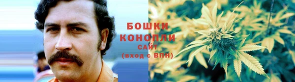 PSILOCYBIN Алзамай