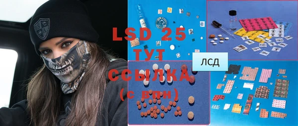 PSILOCYBIN Абаза