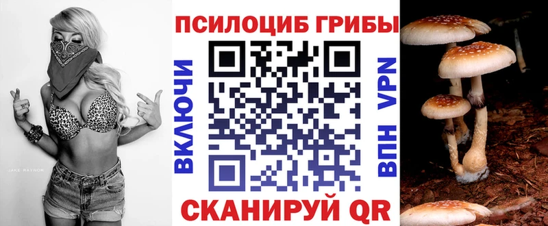 Галлюциногенные грибы Psilocybe  хочу   kraken зеркало  Домодедово 
